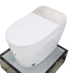 Bồn cầu thông minh D&K AC1216 Gold 2