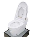 Bồn cầu thông minh D&K AC1216 Gold 2