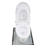 Bồn cầu thông minh D&K AC1216 Gold 2