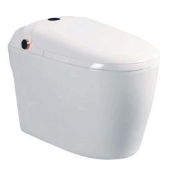 Bồn cầu thông minh D&K AC1229 1