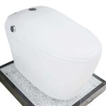 Bồn cầu thông minh D&K AC1229 1