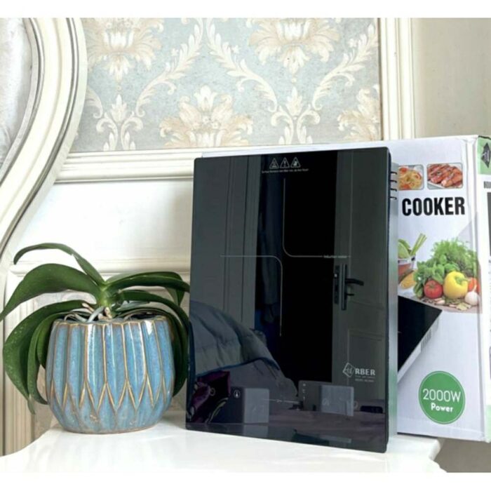 Bếp từ đơn ARBER AB265A - Ảnh 5