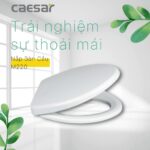 Nắp bồn cầu CAESAR M220 rơi thường - Ảnh 2