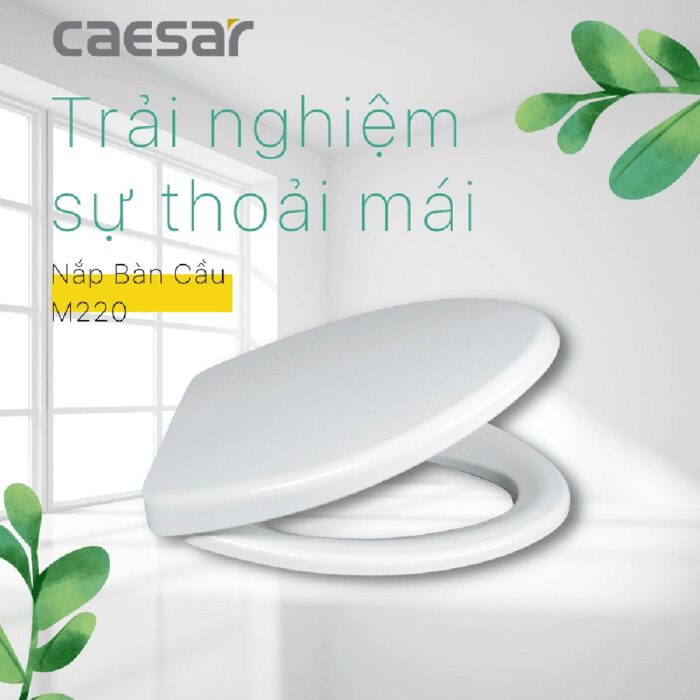 Nắp bồn cầu CAESAR M220 rơi thường - Ảnh 2