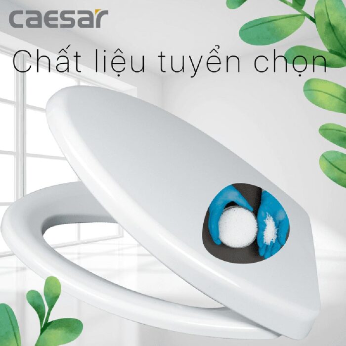 Nắp bồn cầu CAESAR M220 rơi thường - Ảnh 4