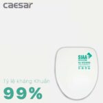 Nắp bồn cầu CAESAR M221 rơi êm - Ảnh 4