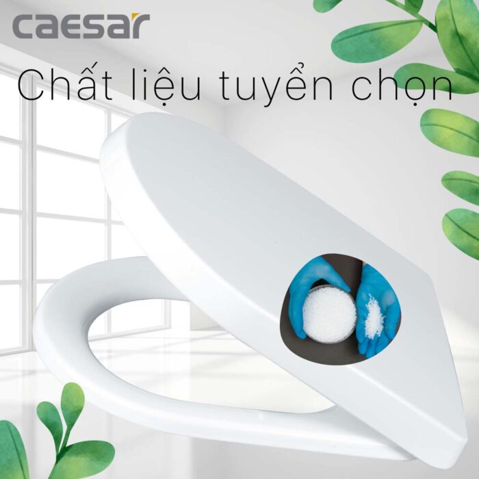 Nắp bồn cầu CAESAR M243 rơi êm - Ảnh 4