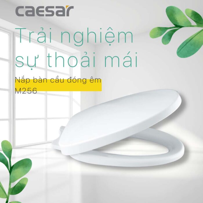 Nắp bồn cầu CAESAR M256 rơi êm - Ảnh 2