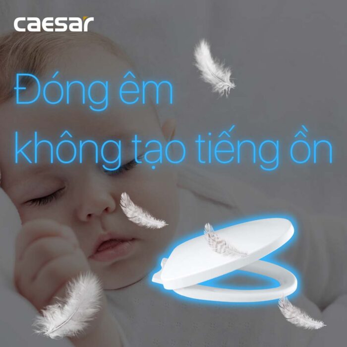 Nắp bồn cầu CAESAR M256 rơi êm - Ảnh 5