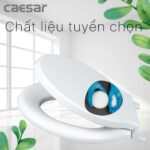Nắp bồn cầu CAESAR M282 trẻ em rơi thường - Ảnh 4