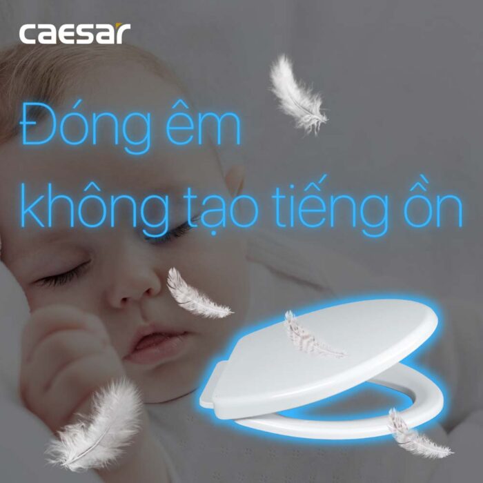 Nắp bồn cầu CAESAR MS220 rơi êm - Ảnh 5