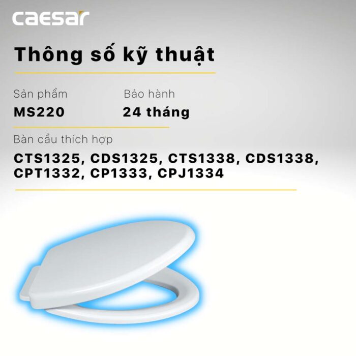 Nắp bồn cầu CAESAR MS220 rơi êm - Ảnh 7