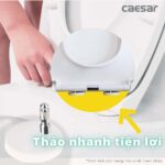 Nắp bồn cầu CAESAR MU235 rơi êm - Ảnh 8