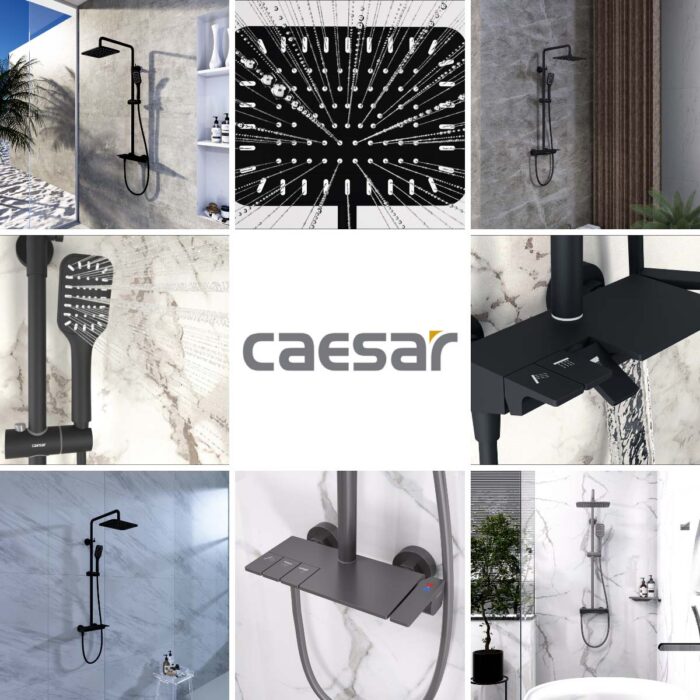 Vòi sen cây Caesar S688CB phím đàn nóng lạnh đen - Ảnh 3