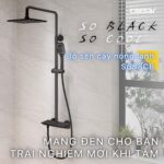 Vòi sen cây Caesar S688CB phím đàn nóng lạnh đen - Ảnh 4