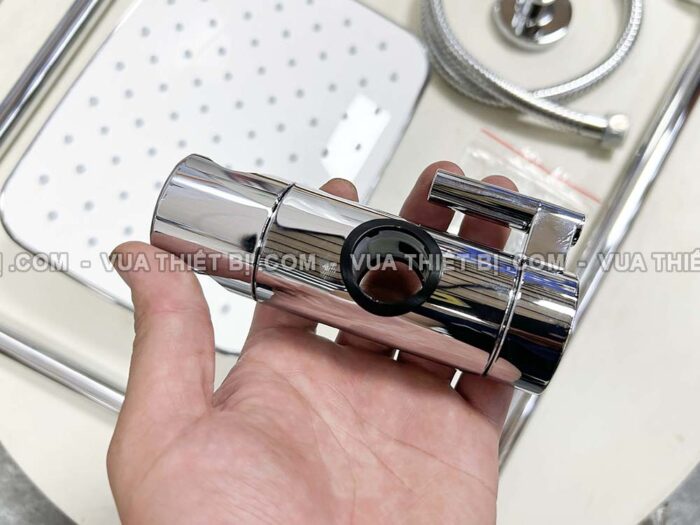 Vòi sen cây CAESAR BS127 - Ảnh 3