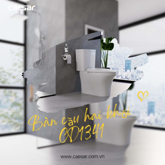 Bồn cầu 2 khối CAESAR CD1341 nắp êm M232 - Ảnh 7