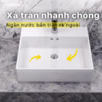 Chậu lavabo đặt bàn CAESAR LF5263 - Ảnh 12