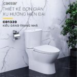 Bồn cầu 2 khối CAESAR CD1320 nắp êm M221 - Ảnh 5