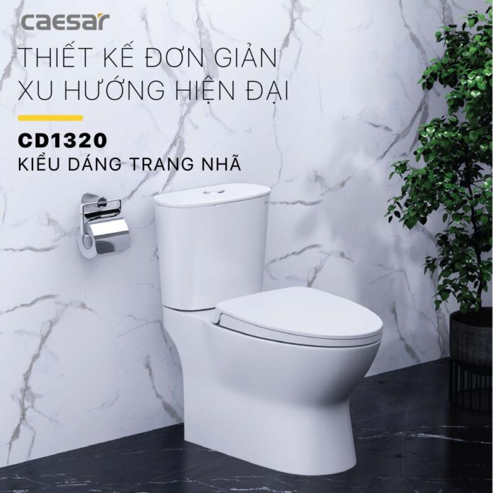 Bồn cầu 2 khối CAESAR CD1320 nắp êm M221 - Ảnh 5