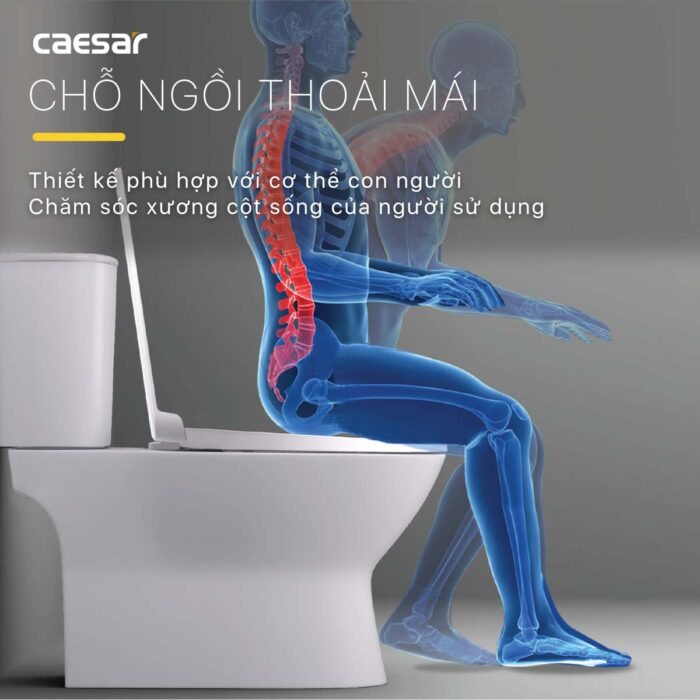 Bồn cầu 2 khối CAESAR CD1320 nắp êm M221 - Ảnh 6