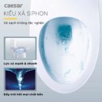 Bồn cầu 2 khối CAESAR CD1340 nắp êm M232 - Ảnh 6