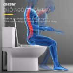Bồn cầu 2 khối CAESAR CD1340 nắp êm M232 - Ảnh 11