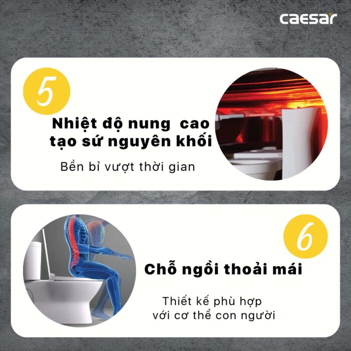 Bồn cầu 2 khối CAESAR CDS1338 nắp êm MS220 - Ảnh 7