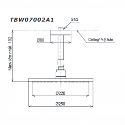 TOTO TBW07002A1 - Bát sen âm tường gắn trần 1 TOTO TBW07002A1 - Bát sen âm tường gắn trần