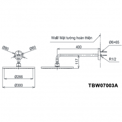 TOTO TBW07003A - Bát sen âm tường gắn tường
