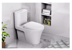 CAESAR CD1395 - Bồn cầu 1 khối nắp êm M221