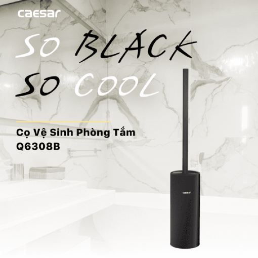 CAESAR Q6308B - Chổi cọ phòng vệ sinh đen