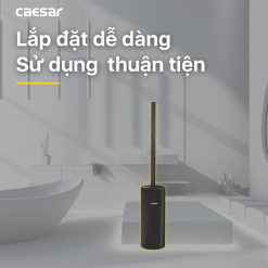 CAESAR Q6308B - Chổi cọ phòng vệ sinh đen
