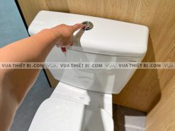 TOTO CS300DRT10 - Bồn cầu 2 khối nắp êm TC395VS