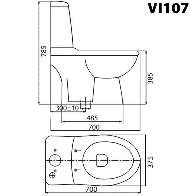 Bản vẽ kĩ thuật Bồn cầu 2 khối VIGLACERA VI107 (BS107) nắp êm