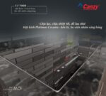 Bếp từ đôi CANZY CZ 710IR