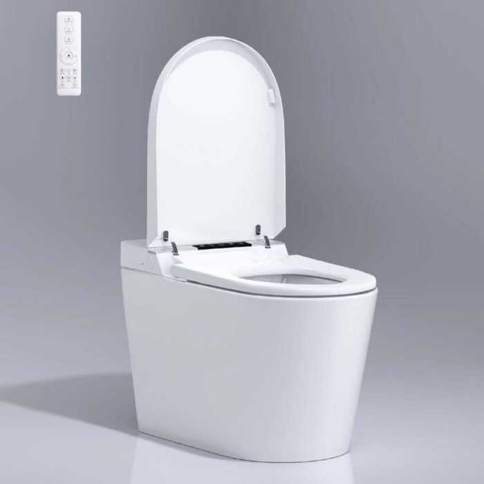 Bồn cầu thông minh CAESAR CA1389H nắp rửa điện tử