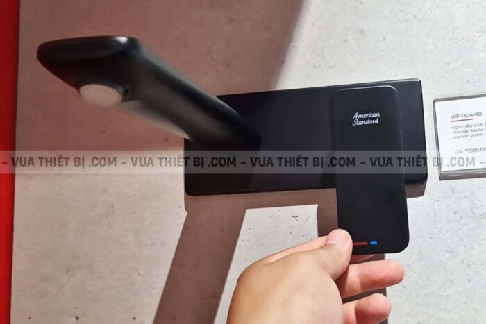 Vòi lavabo AMERICAN STANDARD WF-1304MB Acacia Evolution 2 lỗ âm tường nóng lạnh - Ảnh 4