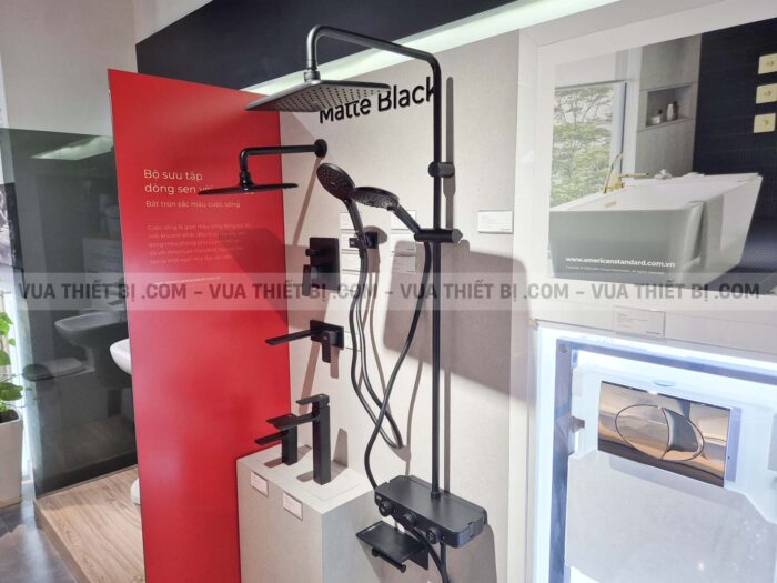 Vòi sen cây AMERICAN STANDARD WF-4956MB EasySET Exposed nhiêt độ - Ảnh 4