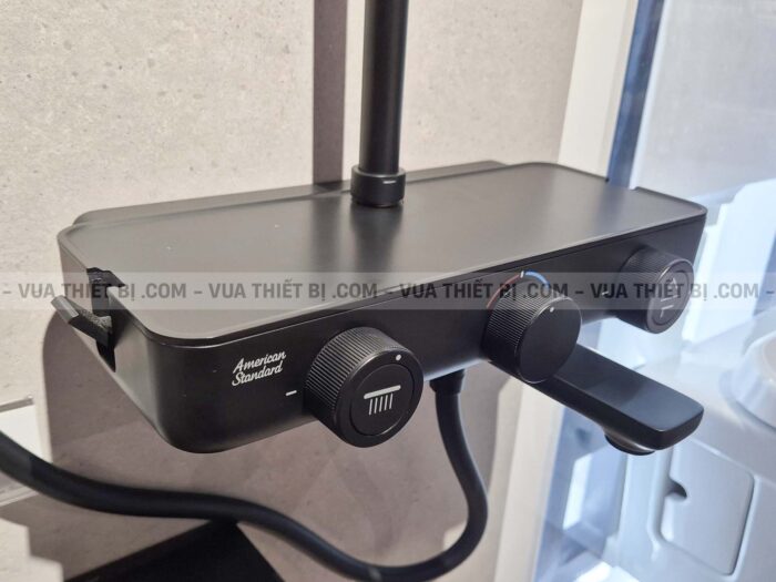 Vòi sen cây AMERICAN STANDARD WF-4956MB EasySET Exposed nhiêt độ - Ảnh 6