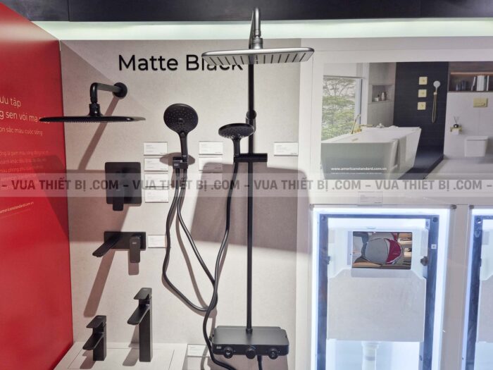 Vòi sen cây AMERICAN STANDARD WF-4956MB EasySET Exposed nhiêt độ - Ảnh 17