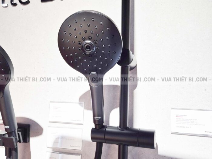 Vòi sen cây AMERICAN STANDARD WF-4956MB EasySET Exposed nhiêt độ - Ảnh 15