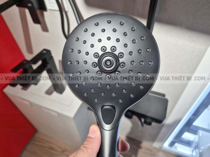 Vòi sen cây AMERICAN STANDARD WF-4956MB EasySET Exposed nhiêt độ - Ảnh 12