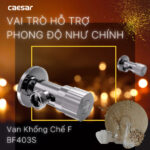 Van khóa T chia nước CAESAR BF403S - Ảnh 2