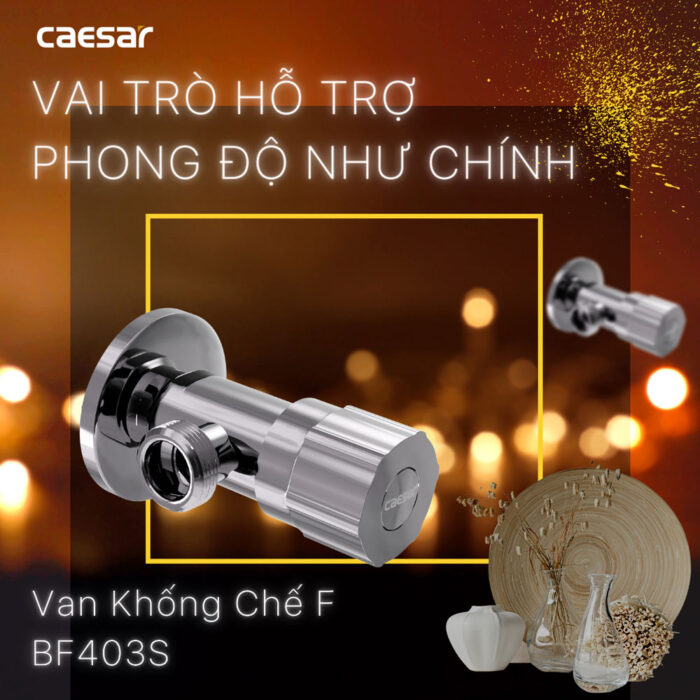 Van khóa T chia nước CAESAR BF403S - Ảnh 2