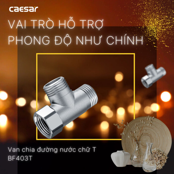 Van khóa T chia nước CAESAR BF403T - Ảnh 2