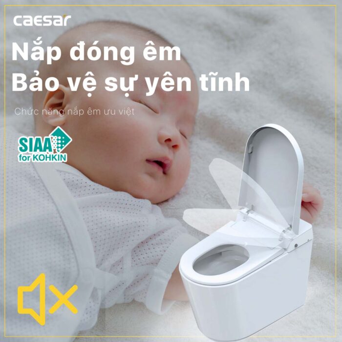 Bồn cầu thông minh CAESAR CA1389H nắp rửa điện tử - Ảnh 18