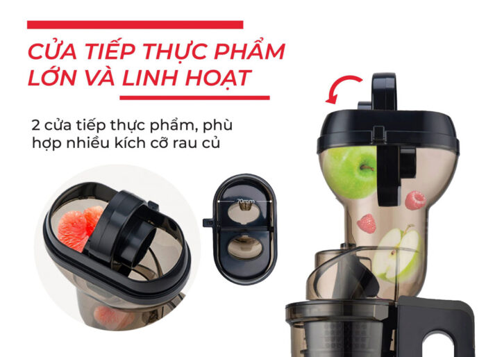 Máy ép chậm RAPIDO RSJ-200M - Ảnh 4