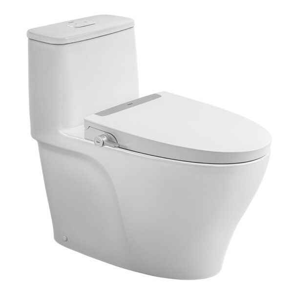 Bồn cầu thông minh INAX AC-989 CW-S32VN nắp rửa cơ