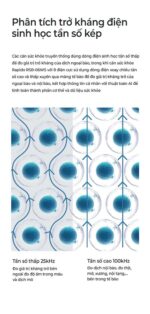 Cân điện tử Rapido RSB-06WS - Ảnh 8